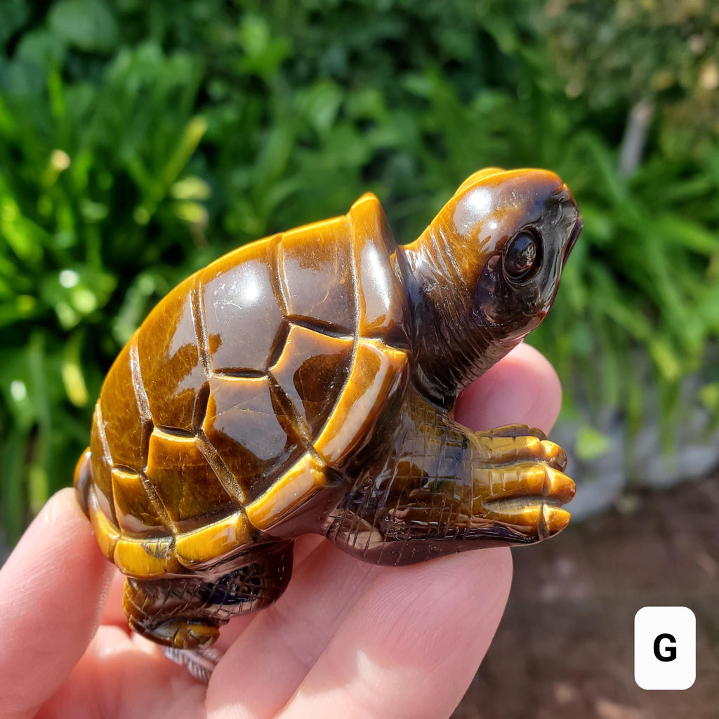 Flashy Tiger Eye Turtle - Courage, Motivation, Confidence, Grounding, Energetic Protection, Energy - Tigers Eye Crystal Healing Gemstones