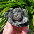 Chunky Pyrite Flower Carving - Blocks Negativity, Boost Personal Power, Helps Manifestations - Pyrite Crystal Rose Healing Gemstone