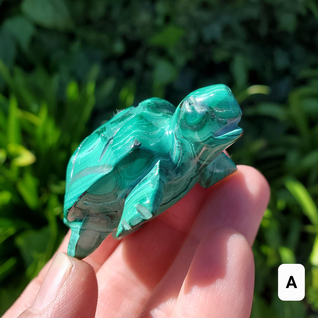 Malachite Turtle - Protection, Blocks EMF, Absorbs Negativity, Encourages Positive Change - Crystal Turtle Carving Healing Gemstone