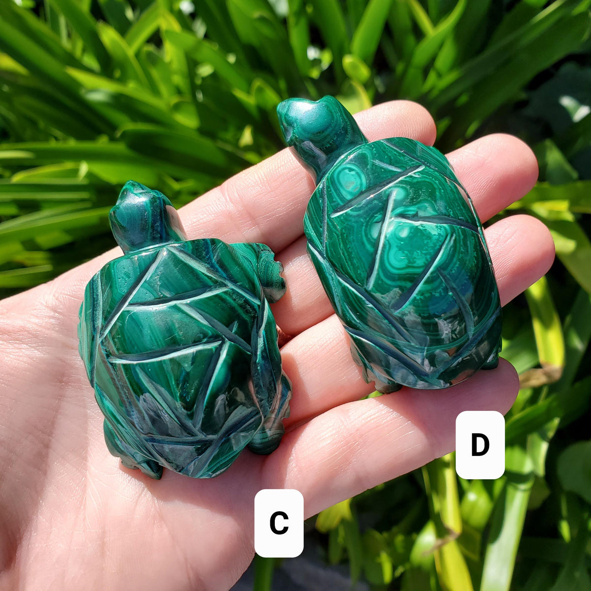 Malachite Turtle - Protection, Blocks EMF, Absorbs Negativity, Encourages Positive Change - Crystal Turtle Carving Healing Gemstone