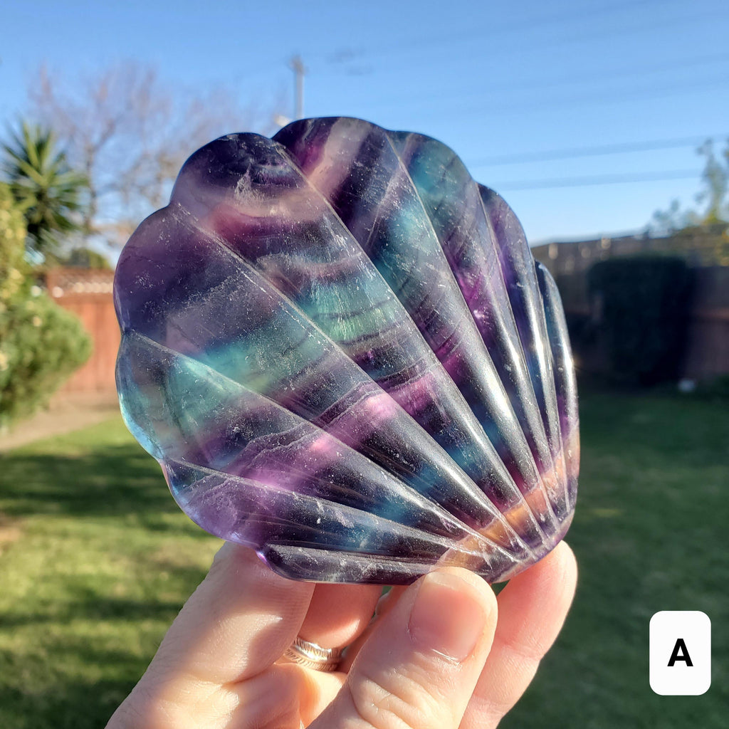 Rainbow Fluorite Seashell Mirror - Mental Concentration, Energetic Protection, Positivity - Fluorite Crystal Seashell Mirror Vanity Decor
