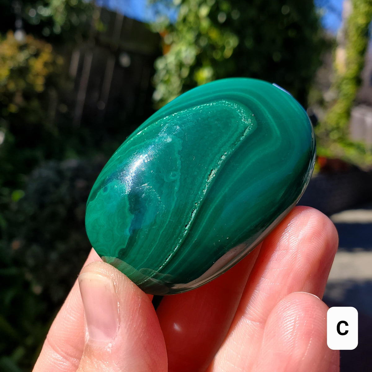 Malachite Palm Stone - Protection, Blocks EMF, Absorbs Negativity, Encourages Positive Change - Handheld Smooth Crystal Round Gemstone