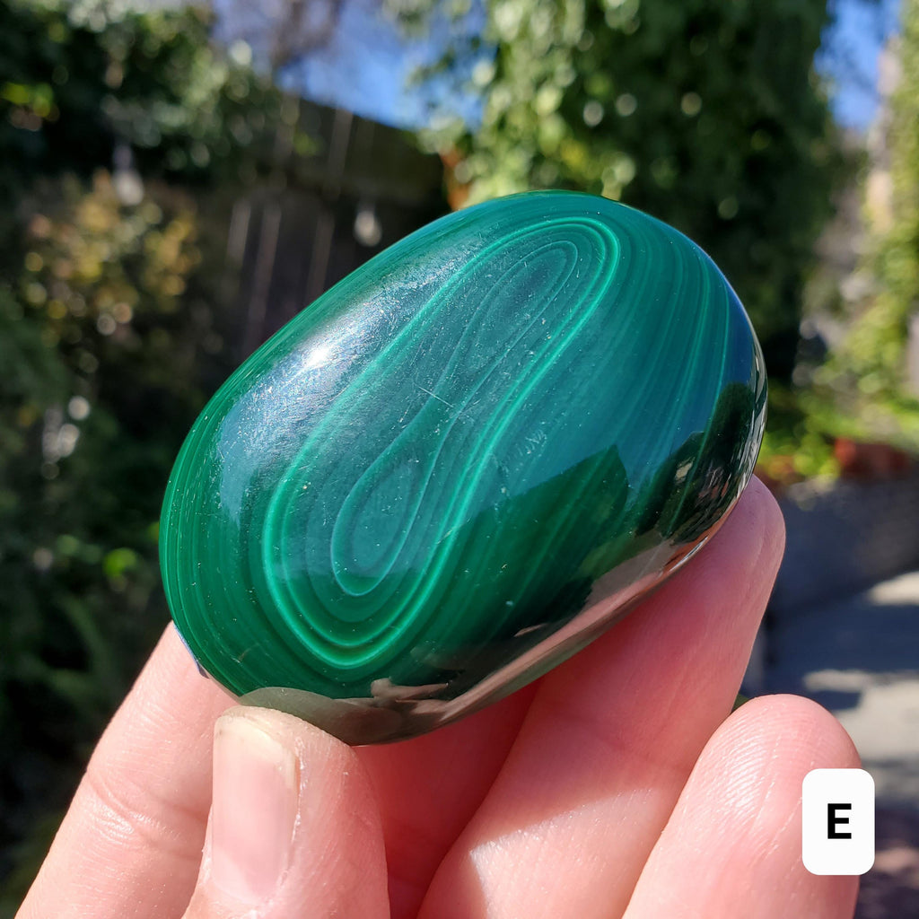 Malachite Palm Stone - Protection, Blocks EMF, Absorbs Negativity, Encourages Positive Change - Handheld Smooth Crystal Round Gemstone