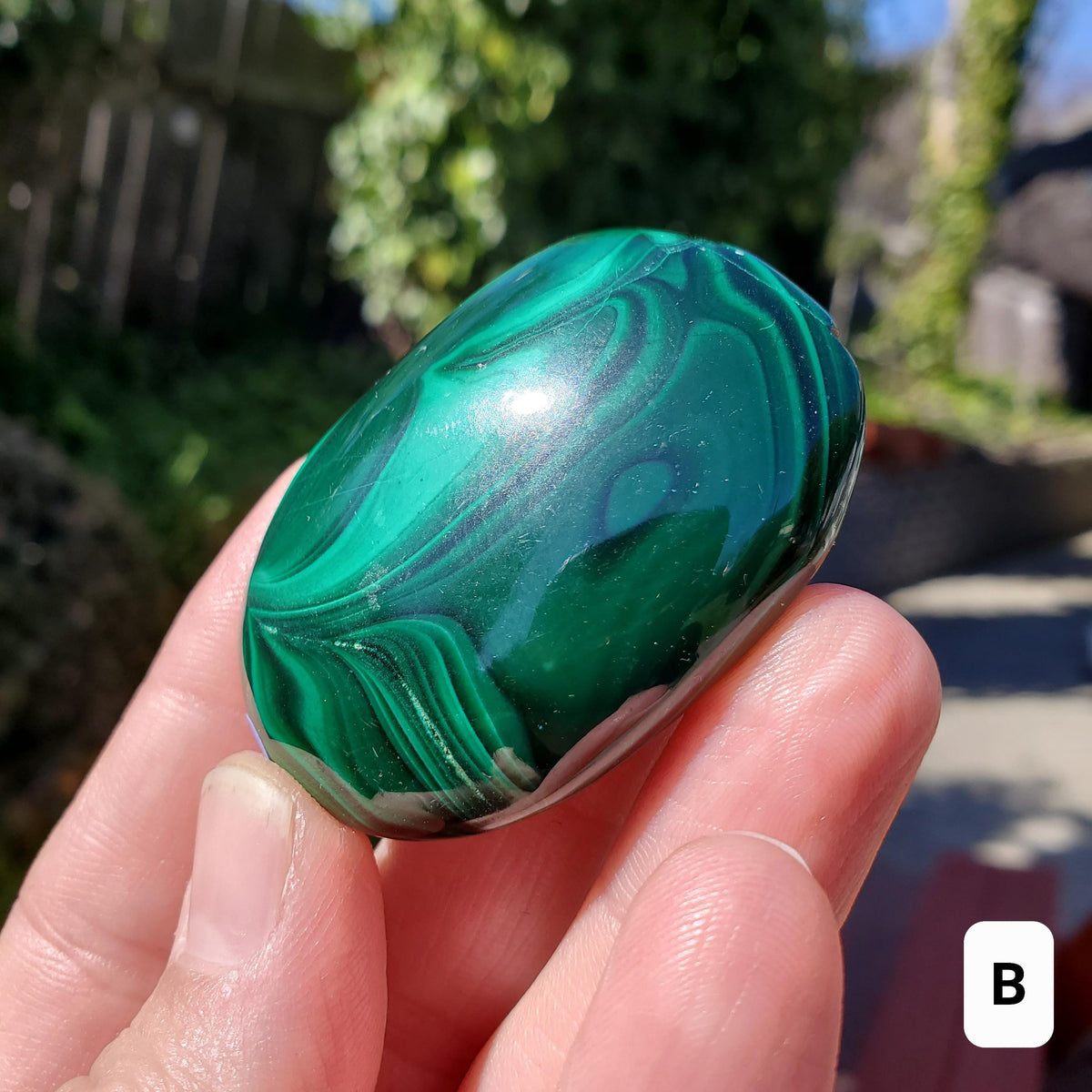 Malachite Palm Stone - Protection, Blocks EMF, Absorbs Negativity, Encourages Positive Change - Handheld Smooth Crystal Round Gemstone