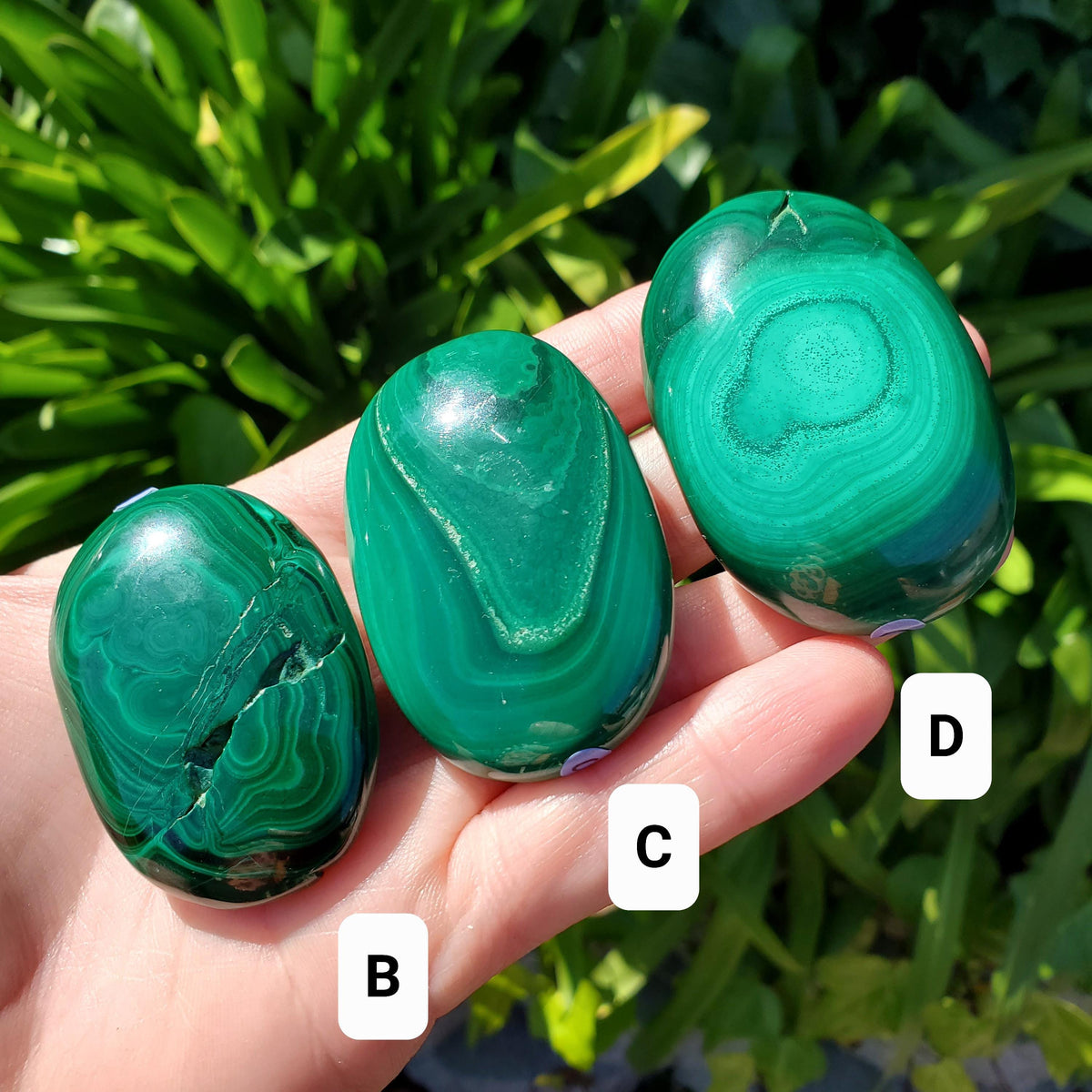 Malachite Palm Stone - Protection, Blocks EMF, Absorbs Negativity, Encourages Positive Change - Handheld Smooth Crystal Round Gemstone
