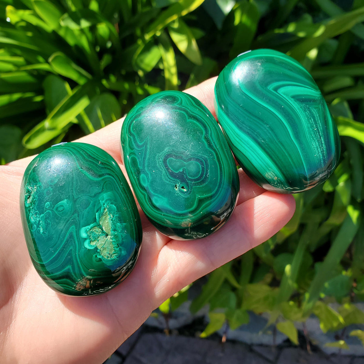 Malachite Palm Stone - Protection, Blocks EMF, Absorbs Negativity, Encourages Positive Change - Handheld Smooth Crystal Round Gemstone