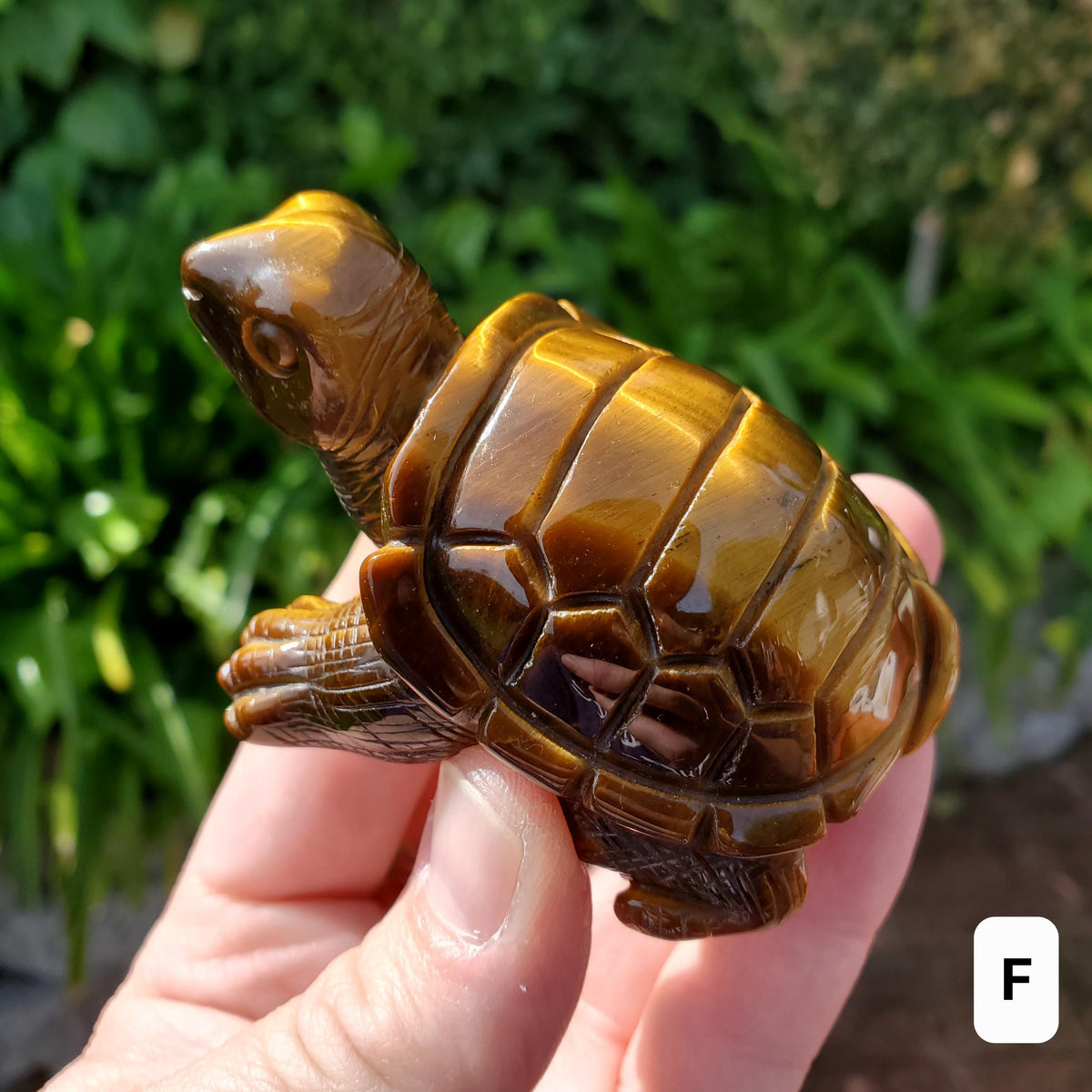 Flashy Tiger Eye Turtle - Courage, Motivation, Confidence, Grounding, Energetic Protection, Energy - Tigers Eye Crystal Healing Gemstones