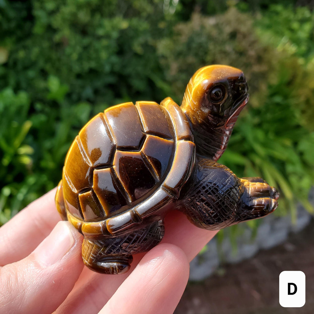 Flashy Tiger Eye Turtle - Courage, Motivation, Confidence, Grounding, Energetic Protection, Energy - Tigers Eye Crystal Healing Gemstones