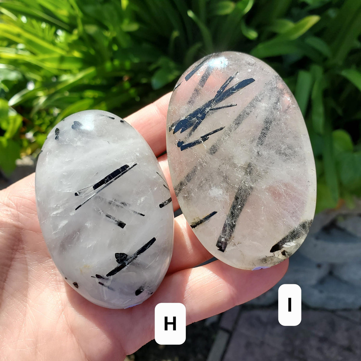 Tourmaline Quartz Palm Stone - Magnification, Clarity, EMF Protection - Tourmalinated Quartz Crystal Palm Healing Crystals Gemstone