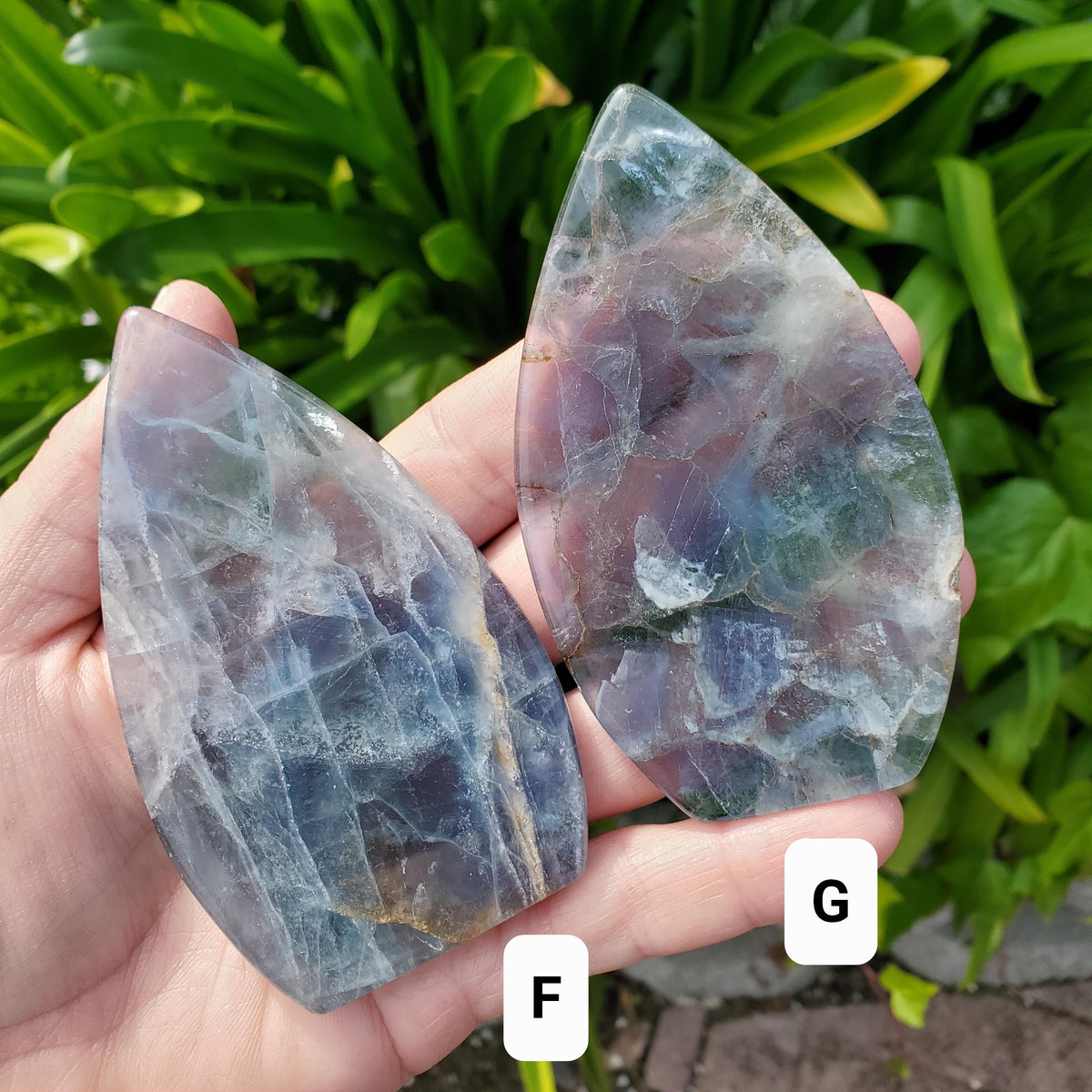 Blue Fluorite Flame on Stand - Mental Clarity, Calm, Emotional Balance, Clears Negativity, Stay Present - Fluorite Crystal Healing Gemstone