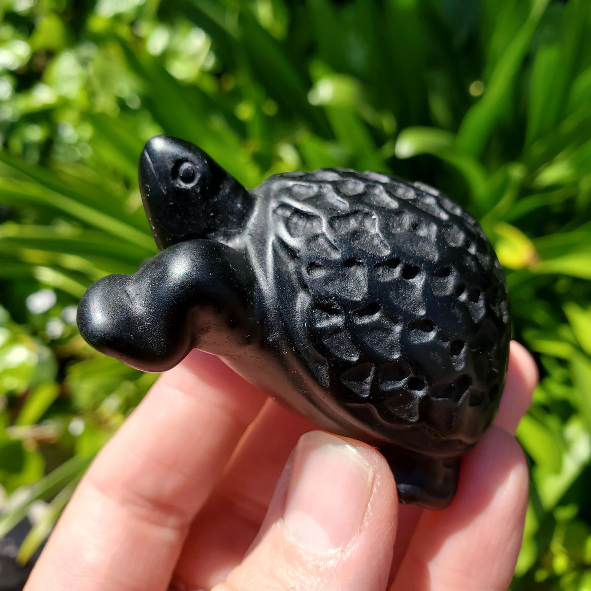 Obsidian Turtle with Feng Shui Coin Design - Self Reflection, Release Negative Energies - Black Tortoise Carving Healing Crystals Gemstones