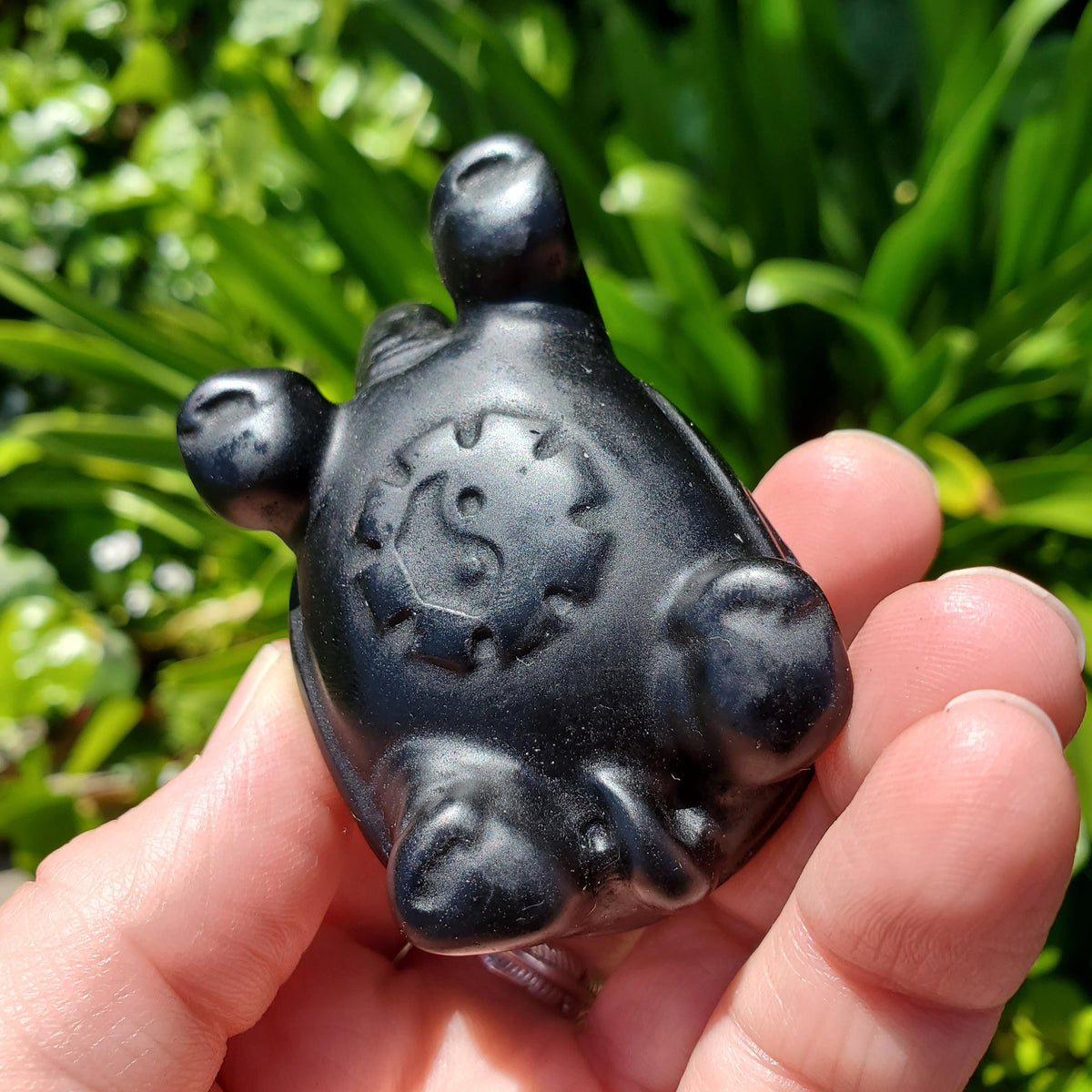 Obsidian Turtle with Feng Shui Coin Design - Self Reflection, Release Negative Energies - Black Tortoise Carving Healing Crystals Gemstones