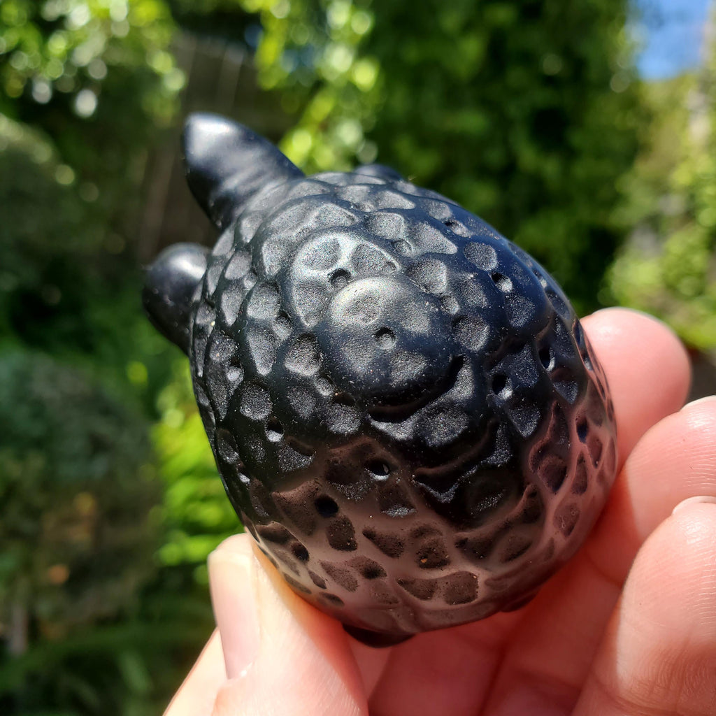 Obsidian Turtle with Feng Shui Coin Design - Self Reflection, Release Negative Energies - Black Tortoise Carving Healing Crystals Gemstones