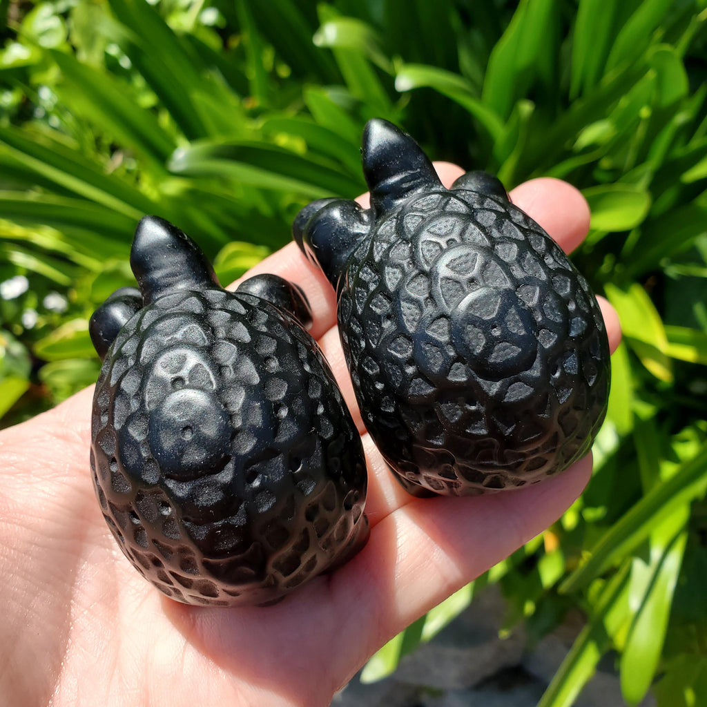 Obsidian Turtle with Feng Shui Coin Design - Self Reflection, Release Negative Energies - Black Tortoise Carving Healing Crystals Gemstones