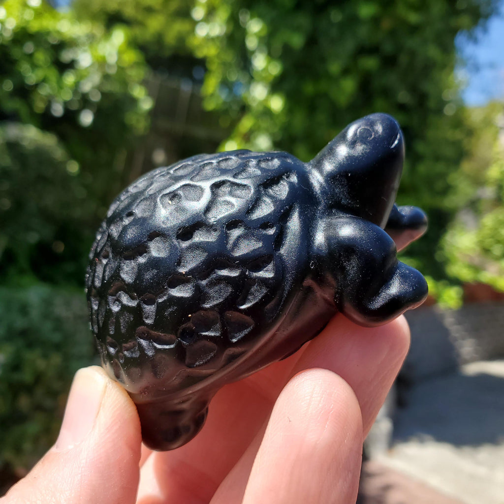 Obsidian Turtle with Feng Shui Coin Design - Self Reflection, Release Negative Energies - Black Tortoise Carving Healing Crystals Gemstones