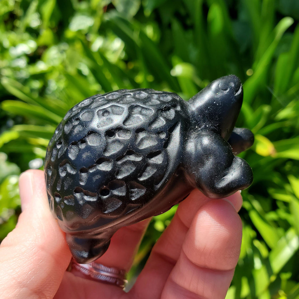 Obsidian Turtle with Feng Shui Coin Design - Self Reflection, Release Negative Energies - Black Tortoise Carving Healing Crystals Gemstones