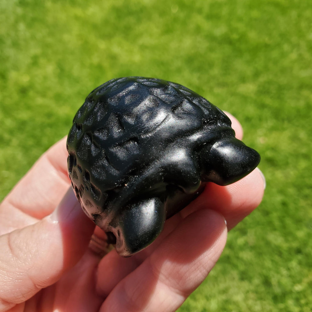 Obsidian Turtle with Feng Shui Coin Design - Self Reflection, Release Negative Energies - Black Tortoise Carving Healing Crystals Gemstones