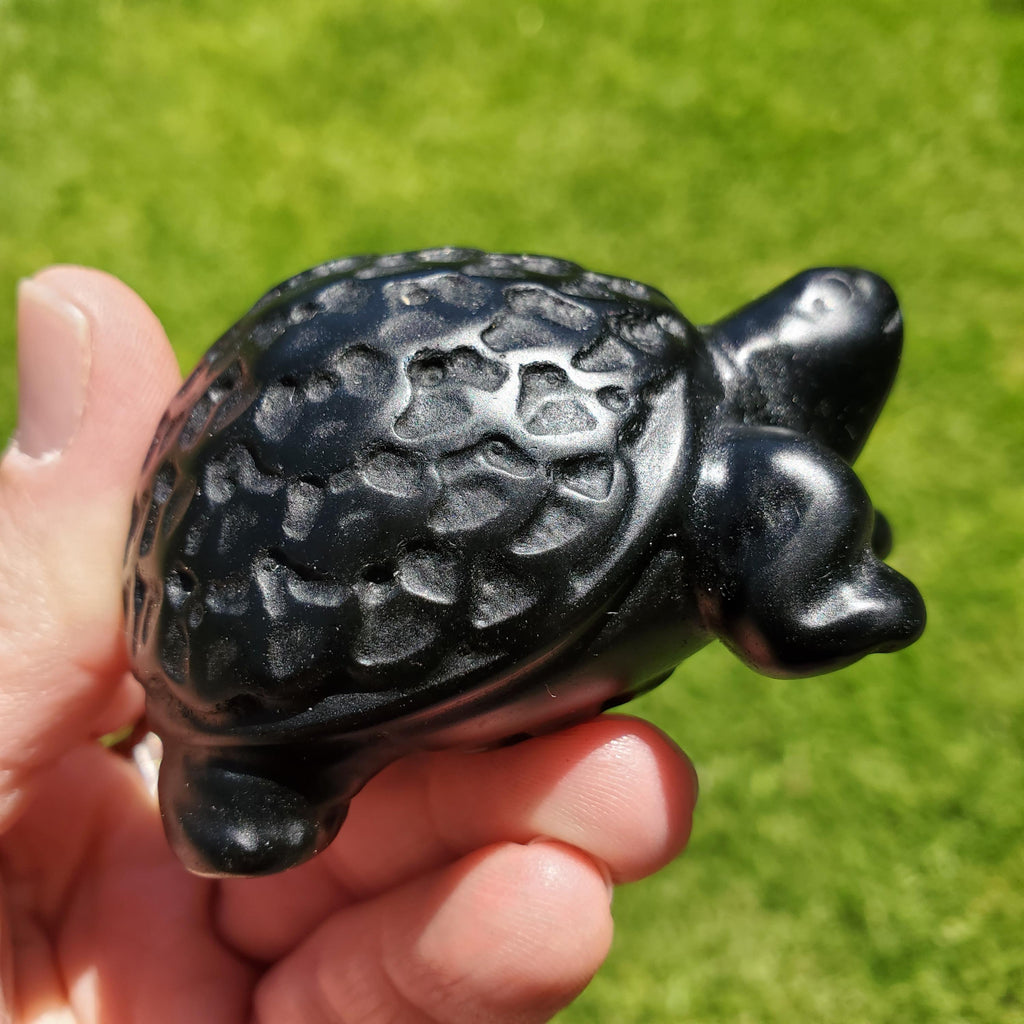 Obsidian Turtle with Feng Shui Coin Design - Self Reflection, Release Negative Energies - Black Tortoise Carving Healing Crystals Gemstones