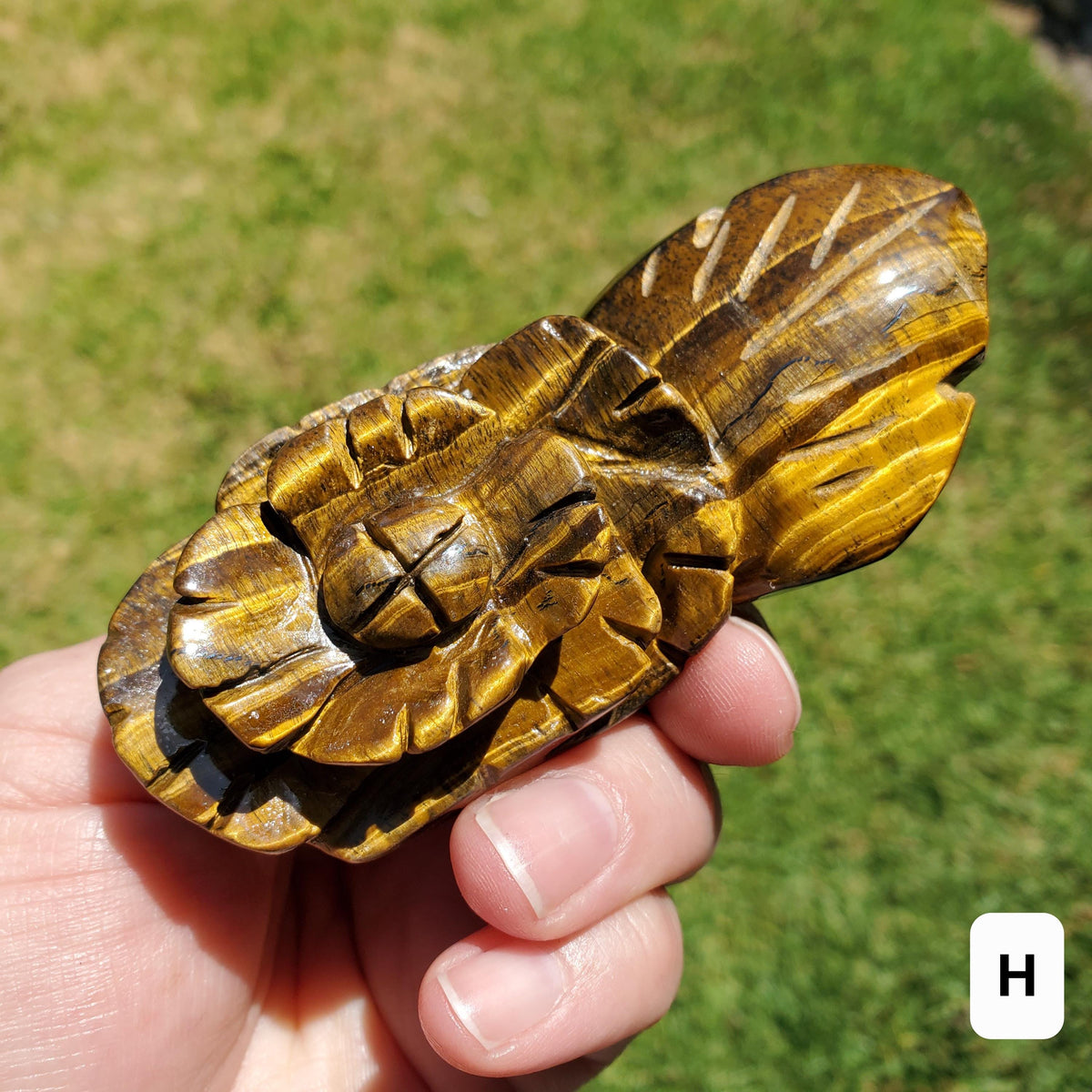 Small Flashy Tiger Eye Flower - Courage, Motivation, Confidence, Grounding, Energetic Protection, Energy - Crystal Rose Healing Gemstones