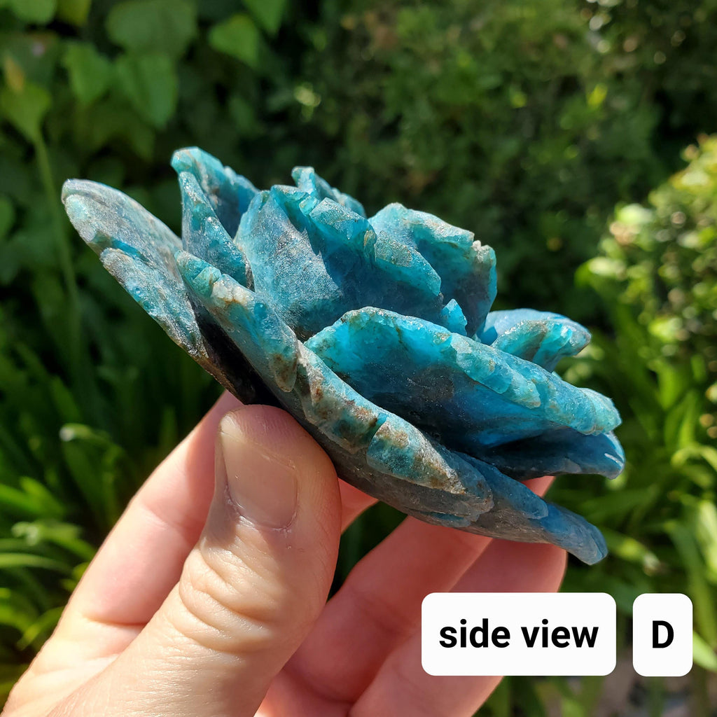 Blue Apatite Flower - Intuition, Mental Clarity, Communication, Manifestation - Crystal Rose Carving Healing Gemstone