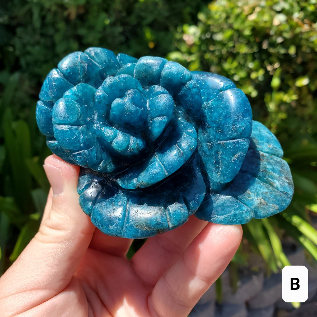 Blue Apatite Flower - Intuition, Mental Clarity, Communication, Manifestation - Crystal Rose Carving Healing Gemstone