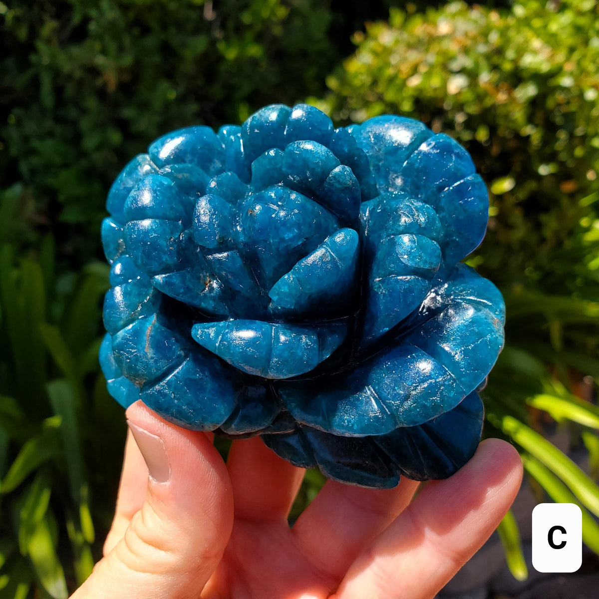 Blue Apatite Flower - Intuition, Mental Clarity, Communication, Manifestation - Crystal Rose Carving Healing Gemstone
