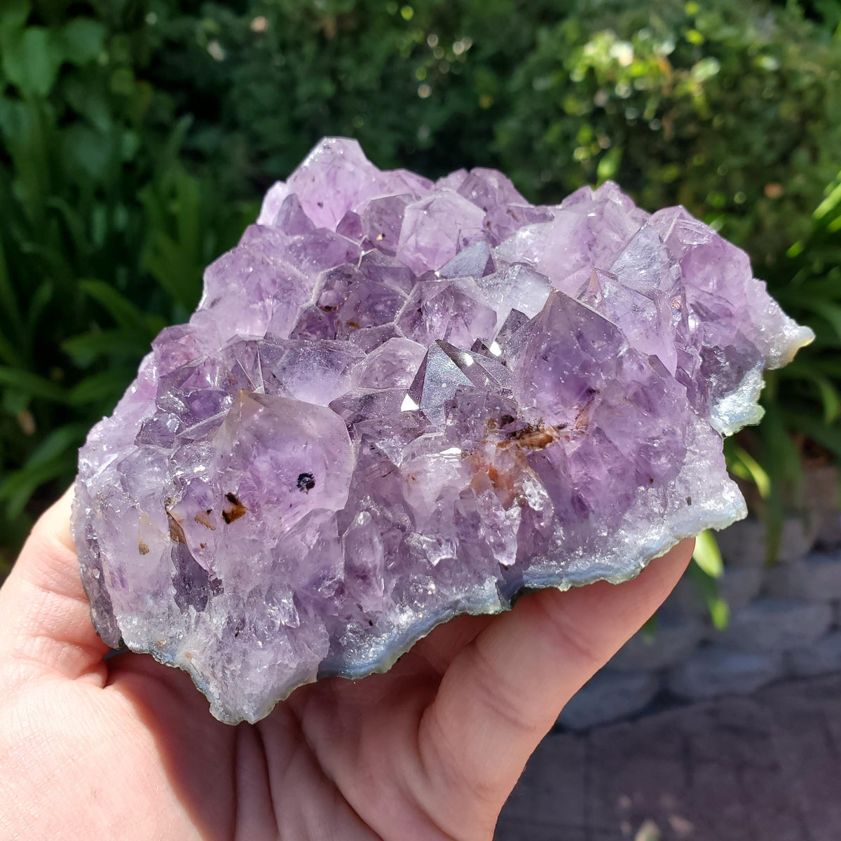 5" Cute Amethyst Cluster Geode with Golden Rutile - Calming, Cleanses Body & Aura, Stress Relief, Positivity - Purple Crystal Gemstone