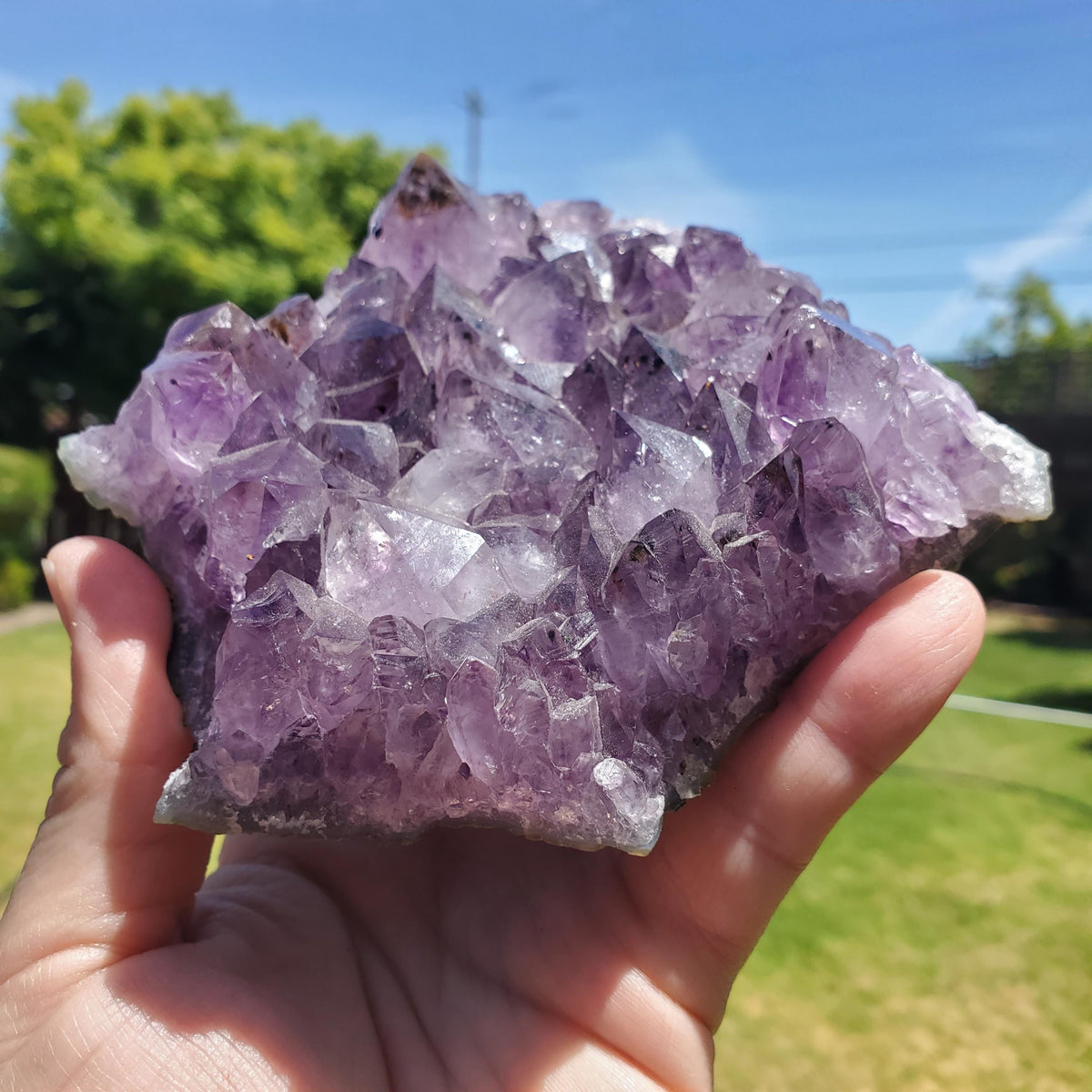 5" Cute Amethyst Cluster Geode with Golden Rutile - Calming, Cleanses Body & Aura, Stress Relief, Positivity - Purple Crystal Gemstone