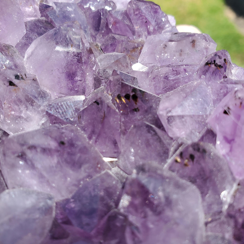 5" Cute Amethyst Cluster Geode with Golden Rutile - Calming, Cleanses Body & Aura, Stress Relief, Positivity - Purple Crystal Gemstone