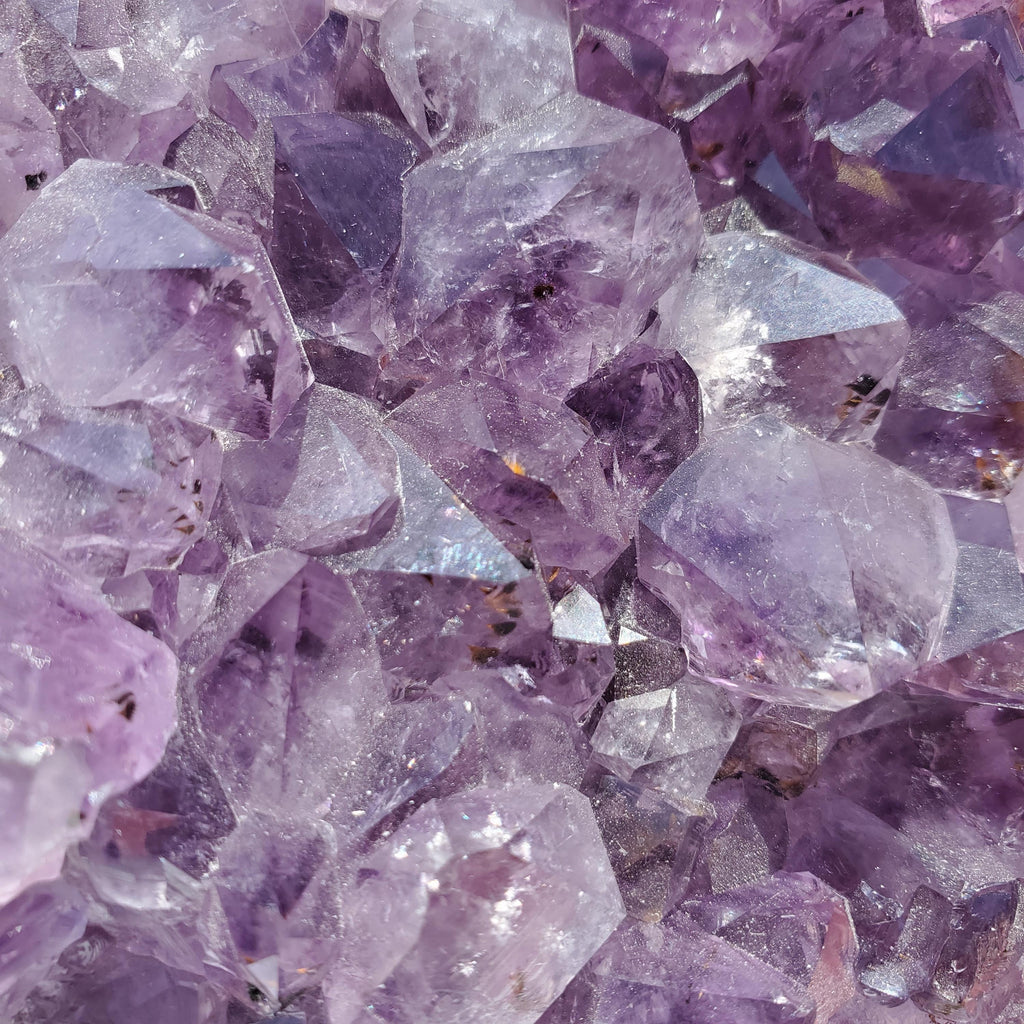 5" Cute Amethyst Cluster Geode with Golden Rutile - Calming, Cleanses Body & Aura, Stress Relief, Positivity - Purple Crystal Gemstone