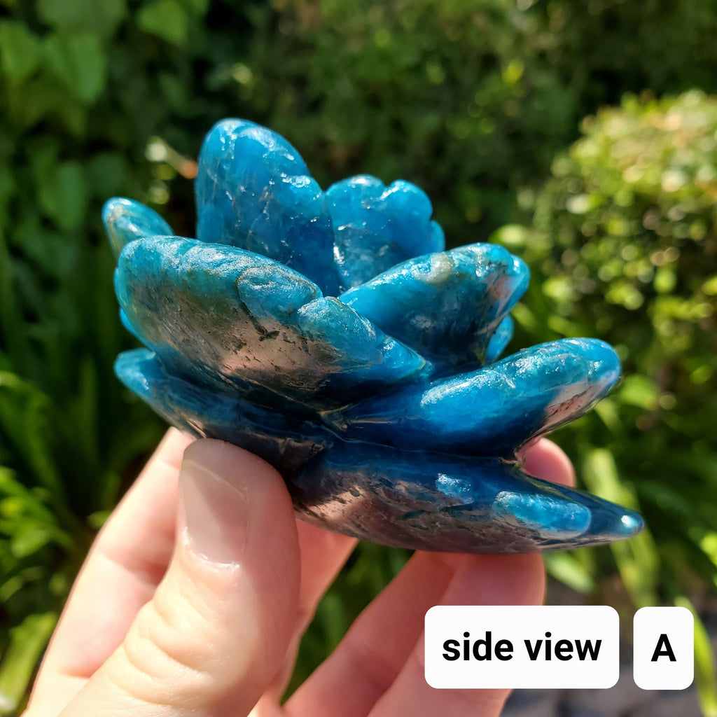 Blue Apatite Flower - Intuition, Mental Clarity, Communication, Manifestation - Crystal Rose Carving Healing Gemstone