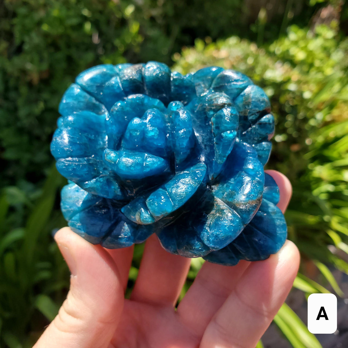 Blue Apatite Flower - Intuition, Mental Clarity, Communication, Manifestation - Crystal Rose Carving Healing Gemstone