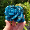 Blue Apatite Flower - Intuition, Mental Clarity, Communication, Manifestation - Crystal Rose Carving Healing Gemstone