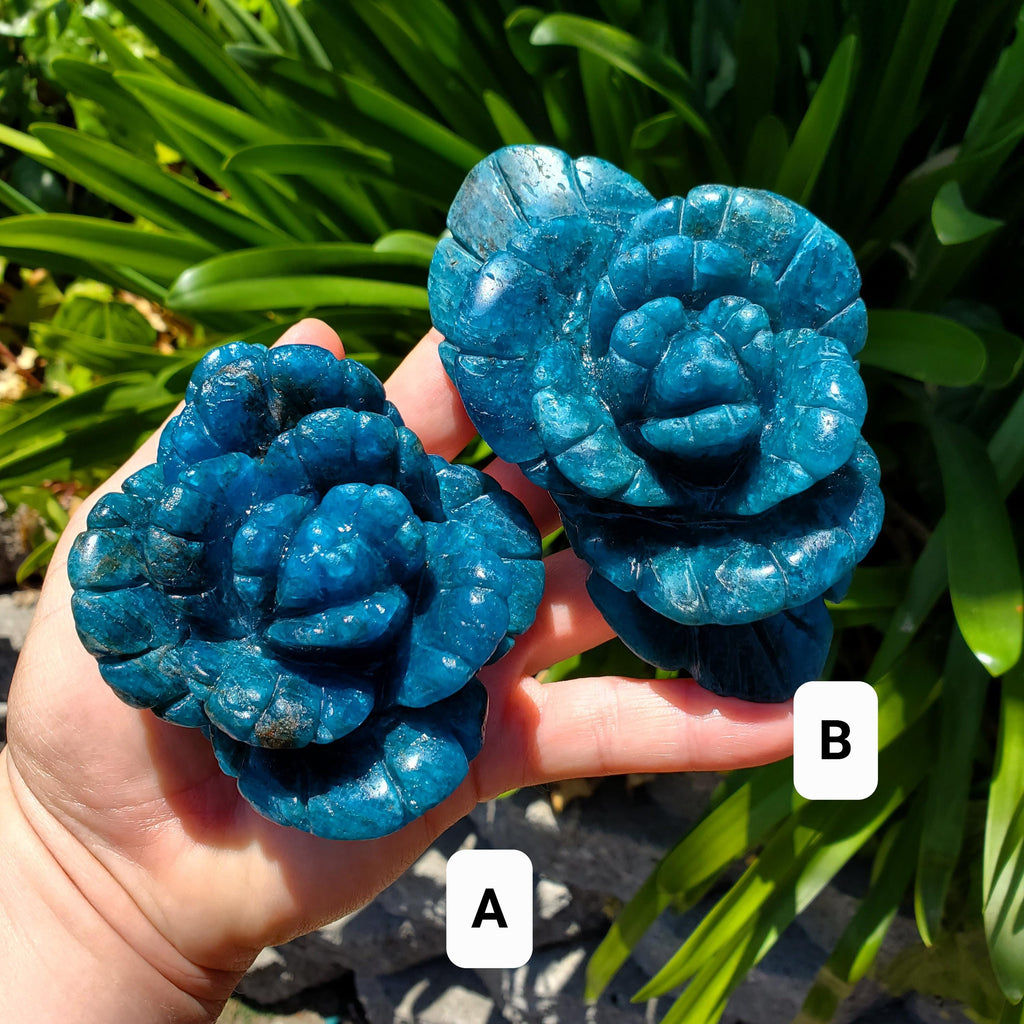 Blue Apatite Flower - Intuition, Mental Clarity, Communication, Manifestation - Crystal Rose Carving Healing Gemstone