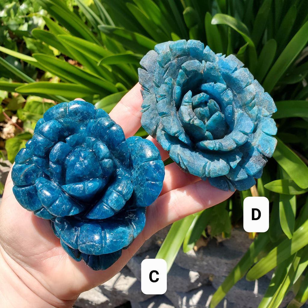 Blue Apatite Flower - Intuition, Mental Clarity, Communication, Manifestation - Crystal Rose Carving Healing Gemstone