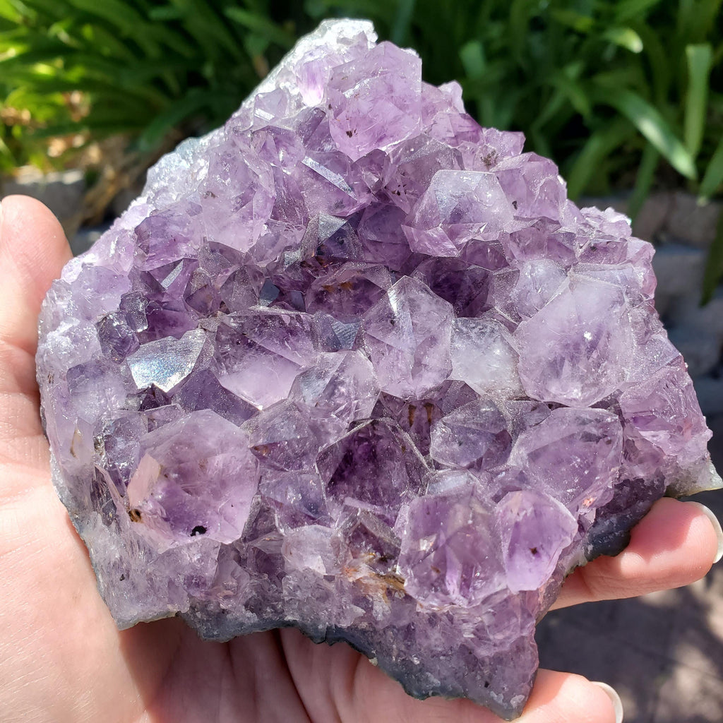 5" Cute Amethyst Cluster Geode with Golden Rutile - Calming, Cleanses Body & Aura, Stress Relief, Positivity - Purple Crystal Gemstone