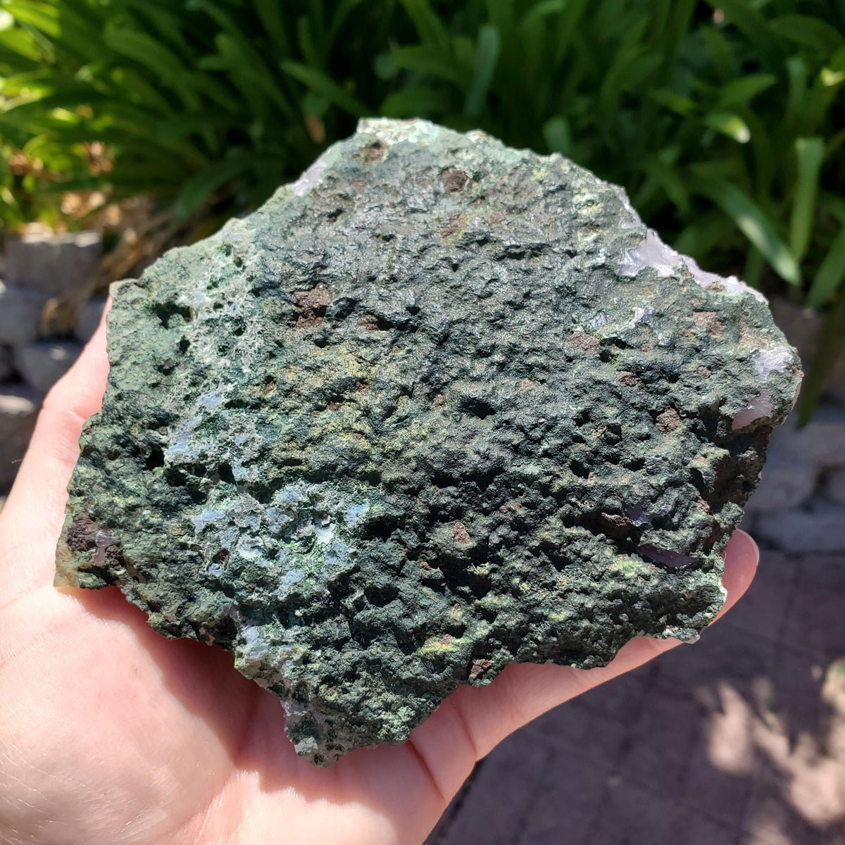 5" Cute Amethyst Cluster Geode with Golden Rutile - Calming, Cleanses Body & Aura, Stress Relief, Positivity - Purple Crystal Gemstone