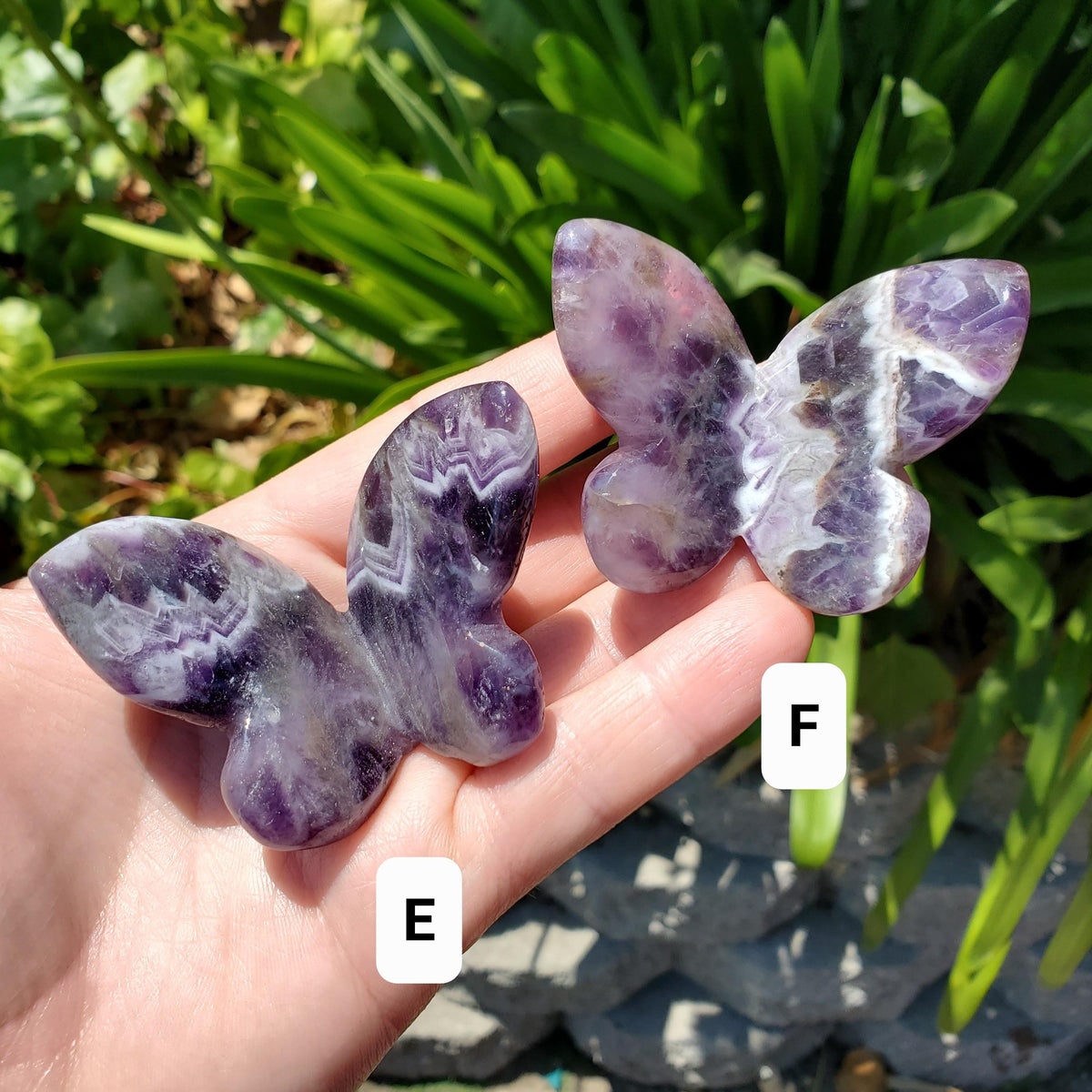 3D Dream Amethyst Butterfly - Divine Love, Calming, Energetic Protection, Positivity - Purple Amethyst Flying Butterfly Healing Gemstone