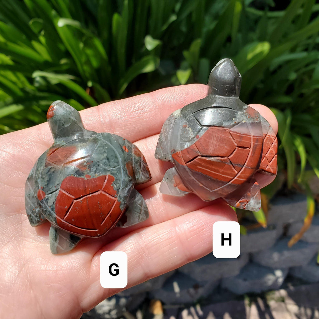 Cute African Bloodstone Turtle - Calming, Grounding, Persistence, Courage - Black and Red Crystal Turtle Carving Healing Gemstone
