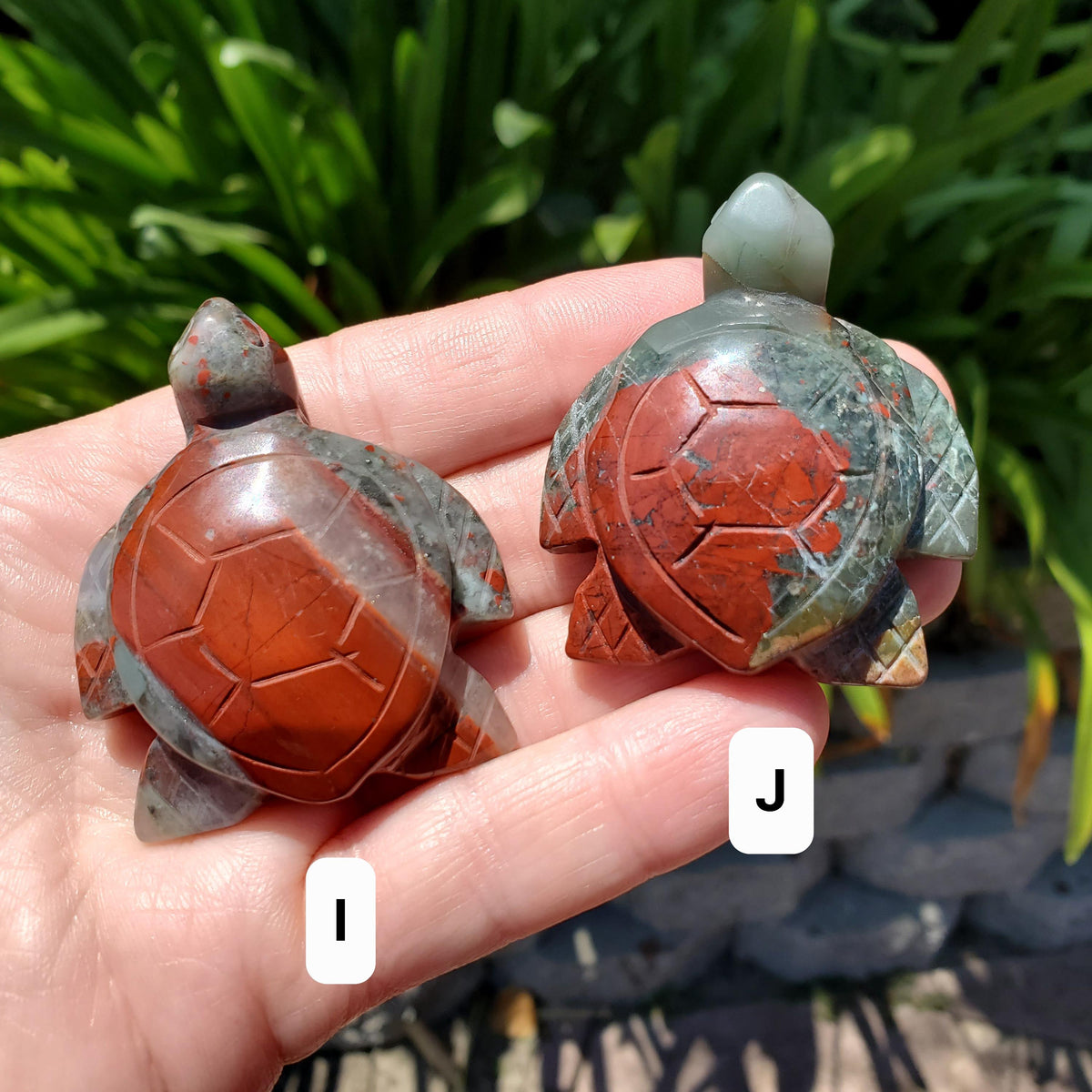 Cute African Bloodstone Turtle - Calming, Grounding, Persistence, Courage - Black and Red Crystal Turtle Carving Healing Gemstone