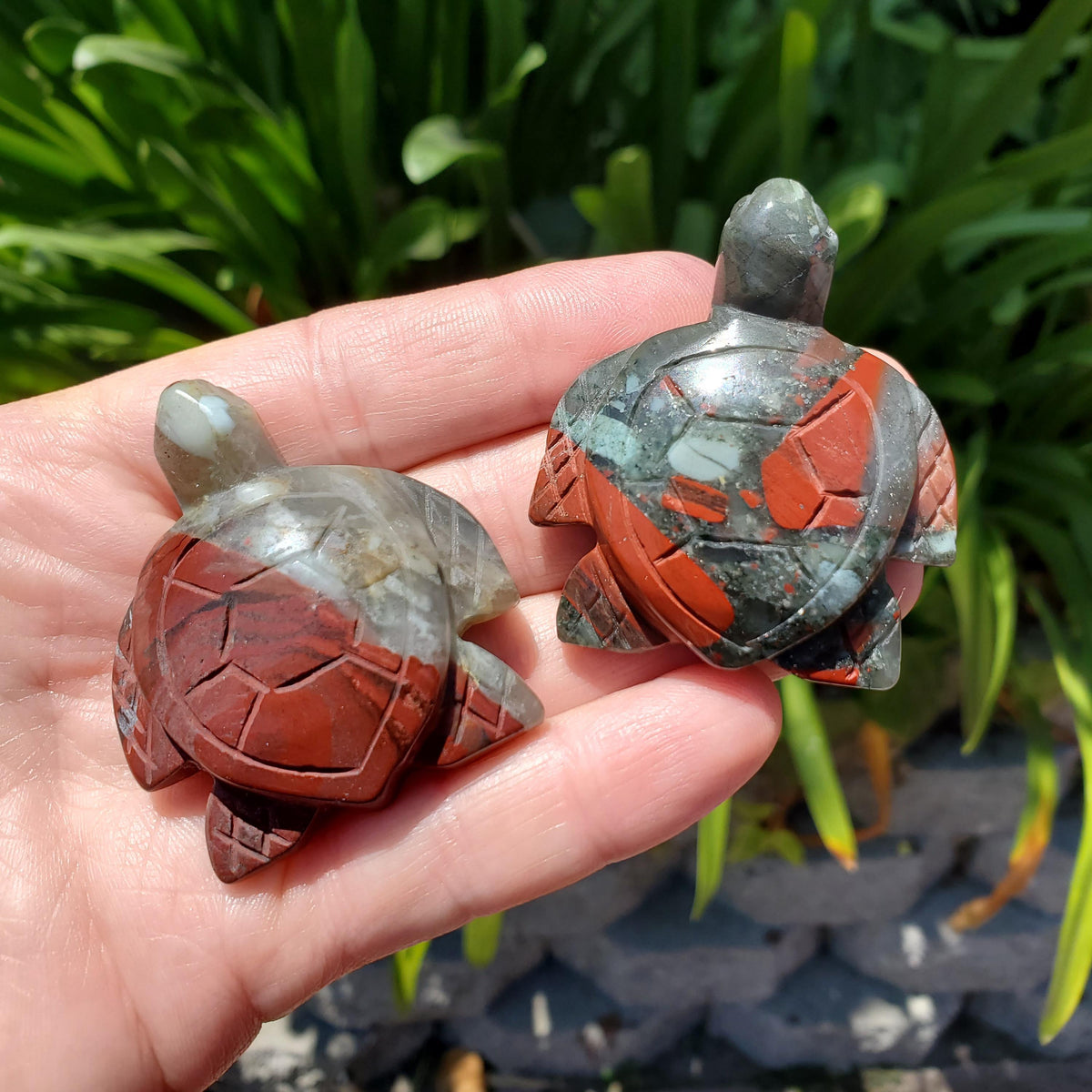 Cute African Bloodstone Turtle - Calming, Grounding, Persistence, Courage - Black and Red Crystal Turtle Carving Healing Gemstone