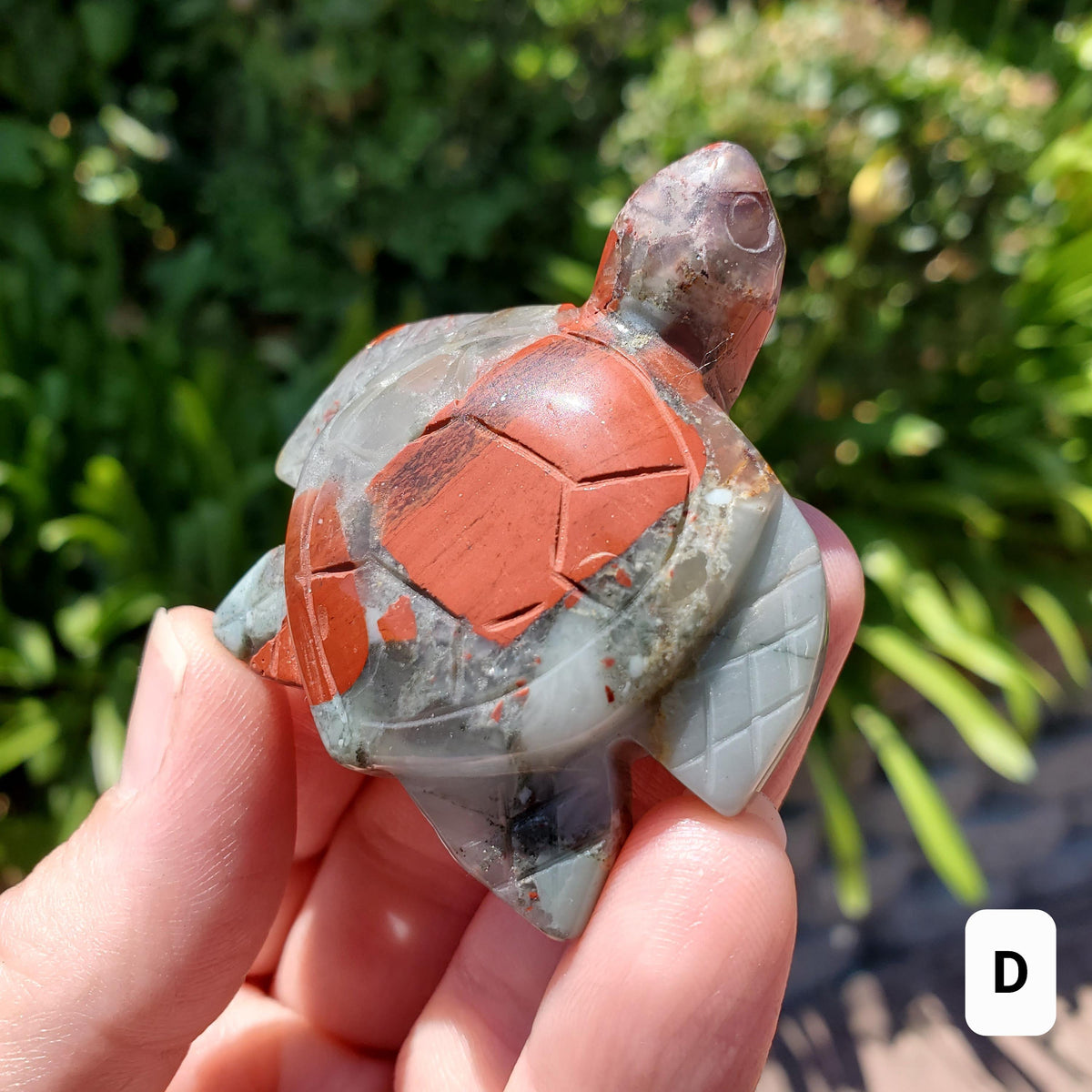 Cute African Bloodstone Turtle - Calming, Grounding, Persistence, Courage - Black and Red Crystal Turtle Carving Healing Gemstone