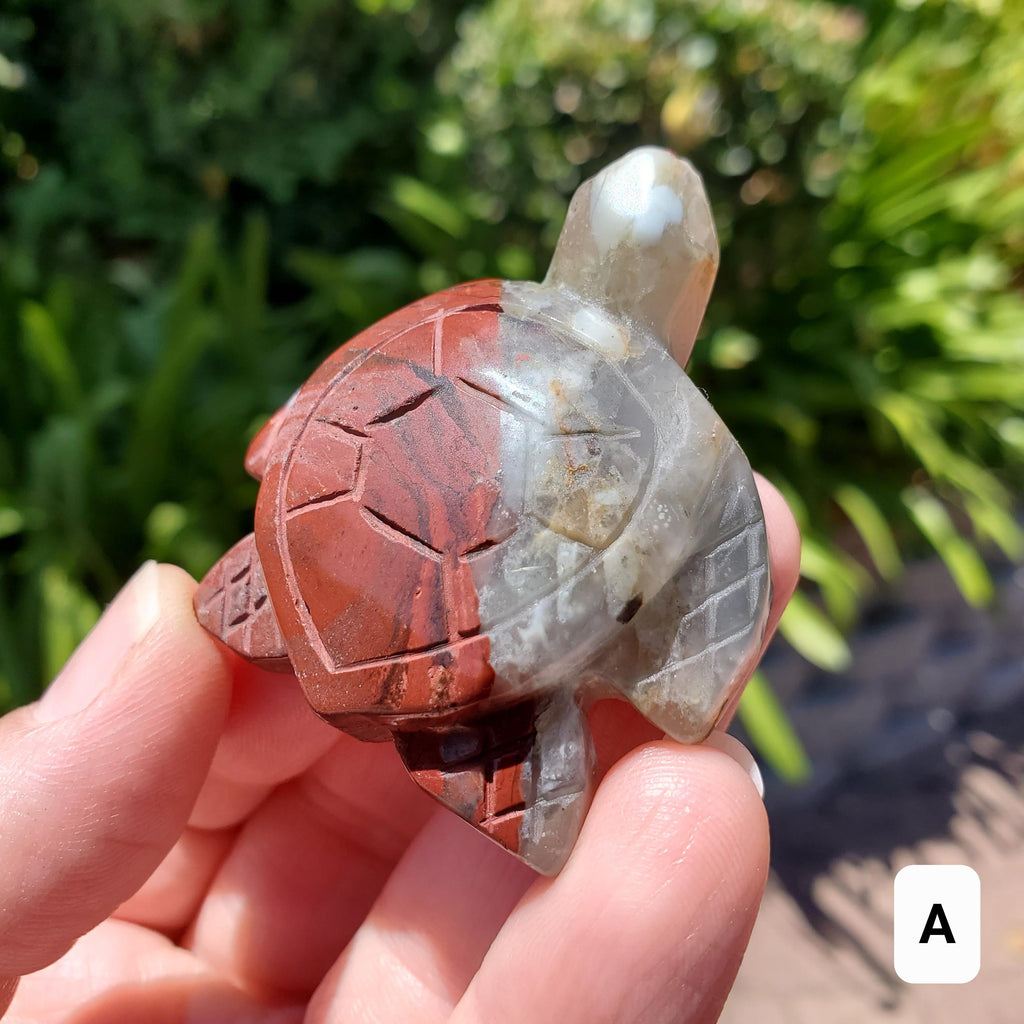 Cute African Bloodstone Turtle - Calming, Grounding, Persistence, Courage - Black and Red Crystal Turtle Carving Healing Gemstone