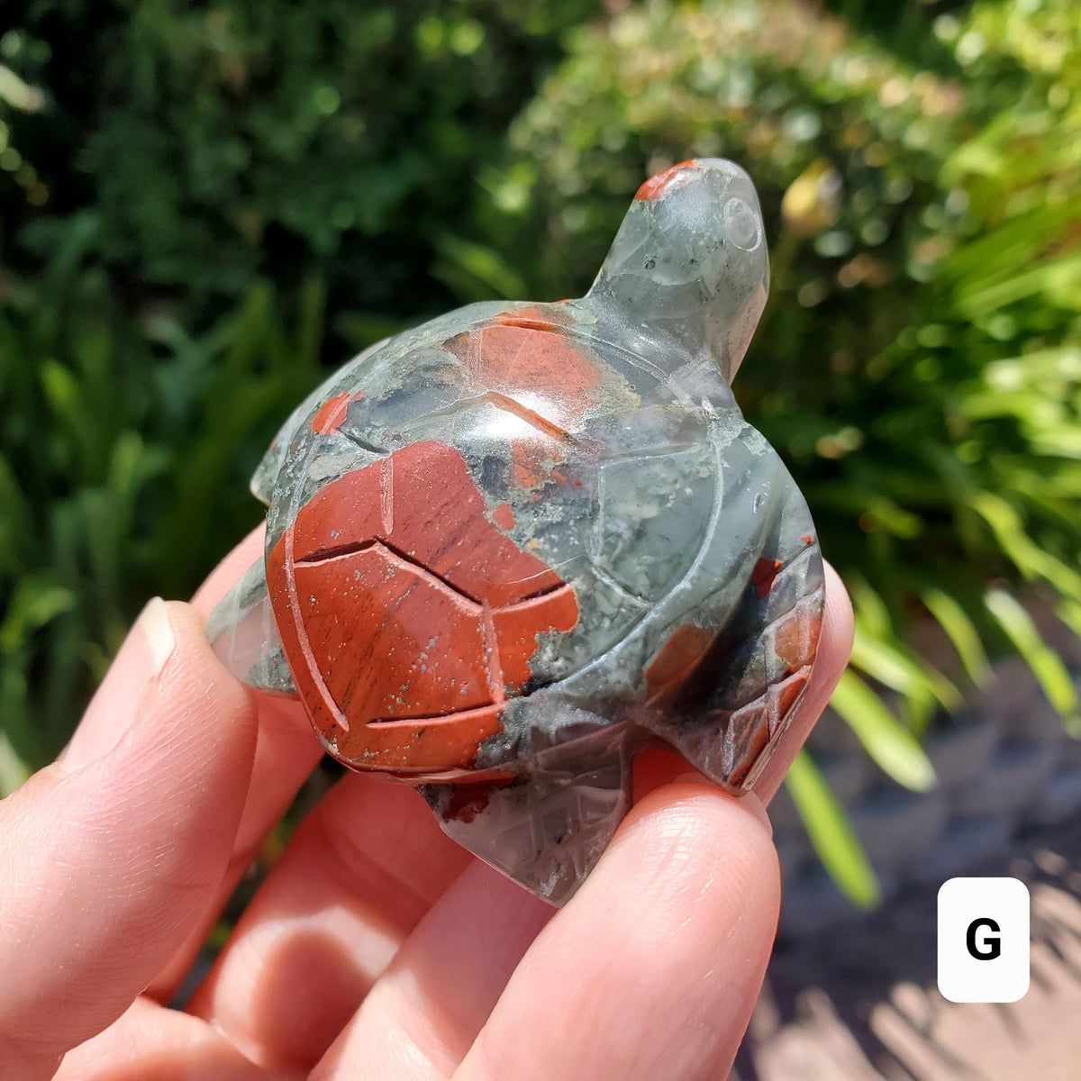 Cute African Bloodstone Turtle - Calming, Grounding, Persistence, Courage - Black and Red Crystal Turtle Carving Healing Gemstone