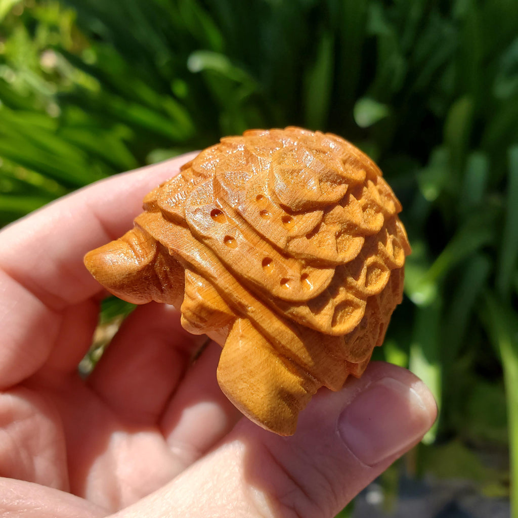 Cypress Wood Turtle with Feng Shui Coin Design - A Symbol of Immortality, Protective From Negative Energies - Carved Turtle Figurine