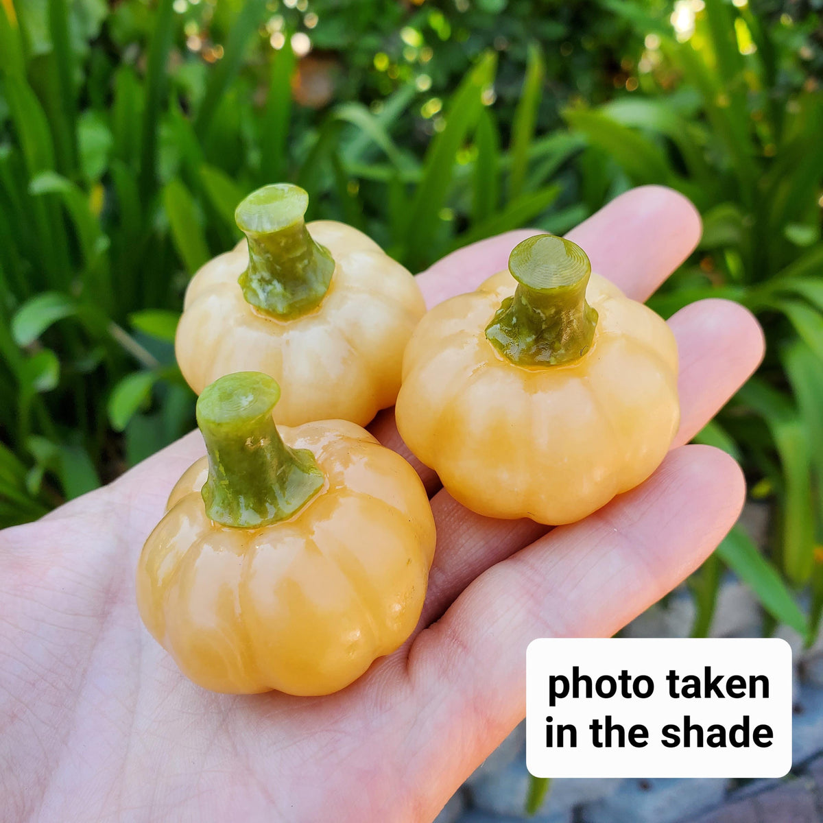 Cute Orange Calcite Pumpkin with Serpentine Jade Stem - Confidence, Self-Esteem, Creative & Sexual Energy - Calcite Crystal Pumpkin Carving