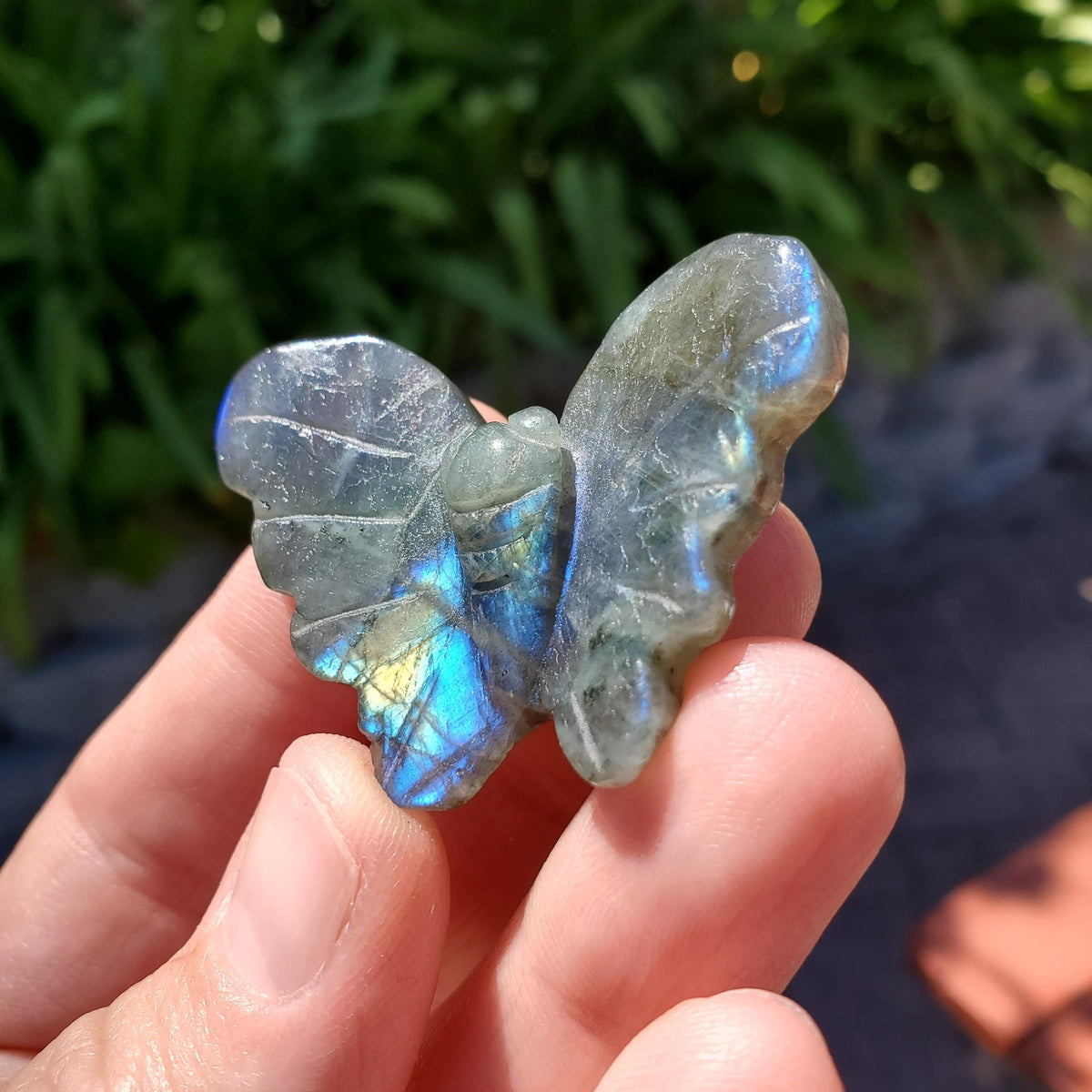 Cute Labradorite Butterfly Set of 2 - Awareness, Connection, Intuition, Wisdom - Flashy Crystal Butterfly Healing Gemstone