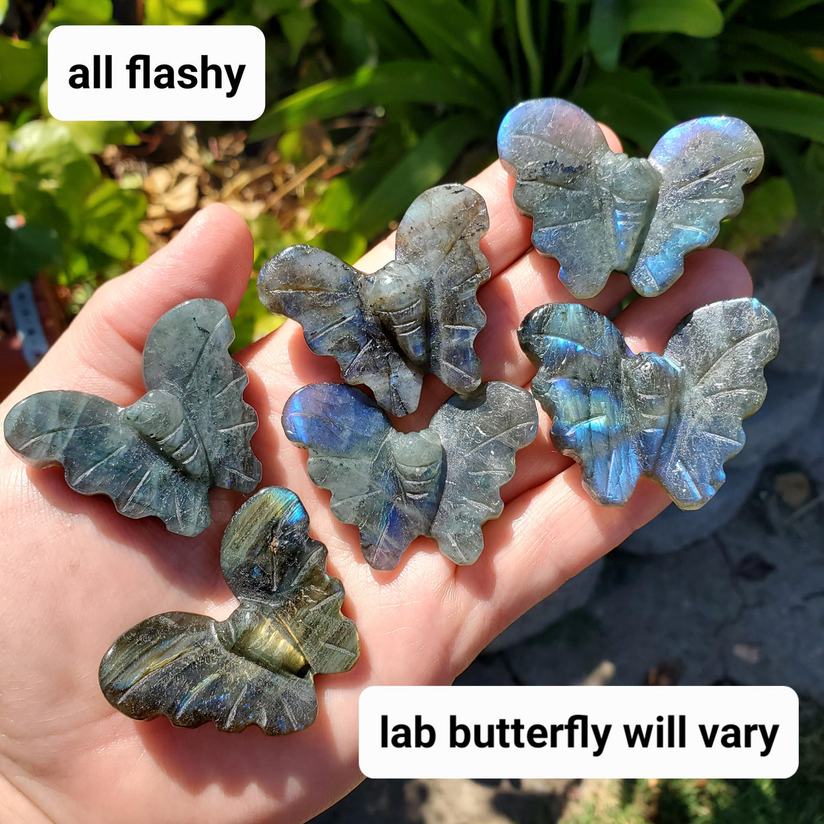 Cute Labradorite Butterfly Set of 2 - Awareness, Connection, Intuition, Wisdom - Flashy Crystal Butterfly Healing Gemstone