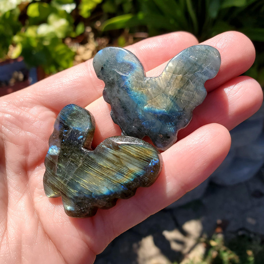 Cute Labradorite Butterfly Set of 2 - Awareness, Connection, Intuition, Wisdom - Flashy Crystal Butterfly Healing Gemstone