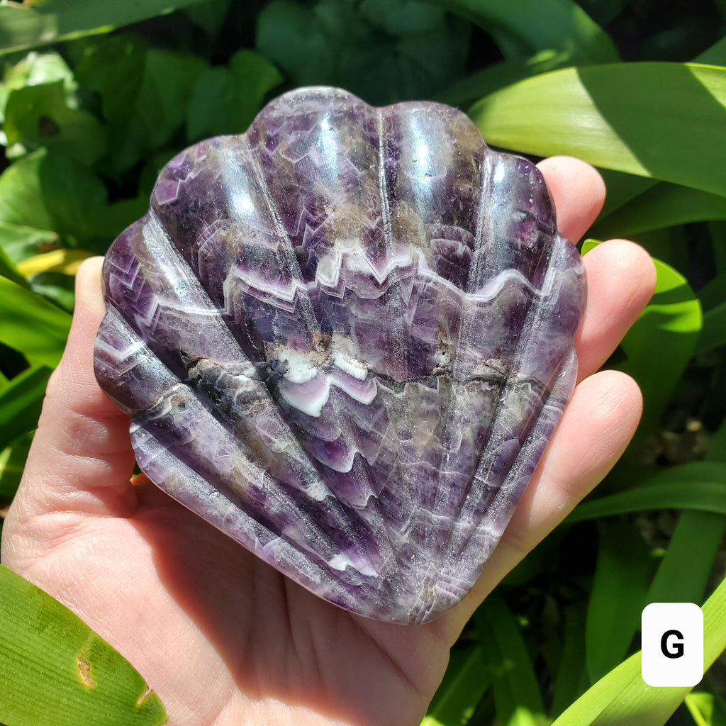 Dream Amethyst Seashell Mirror - Calming, Energetic Protection, Positivity, Divine Love - Amethyst Crystal Mirror for Vanity, Bathroom